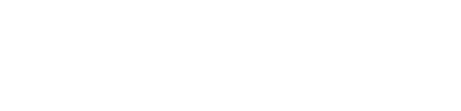 SoraWing Robotics